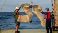 Cientistas jogaram soda cáustica no oceano. Resultados surpreenderam ao mostrar elevação da capacidade de absorver o excesso de CO2
