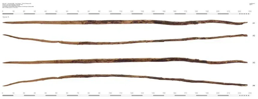 A arma de madeira seria semelhante às lanças de arremesso em forma de dardo encontradas em 1995 em Schöningen, na Baixa Saxônia, Alemanha, que têm entre 200.000 e 300.000 anos • Dirk Leder et al. (eds), Armas, Ferramentas e Tecnologia (2026)