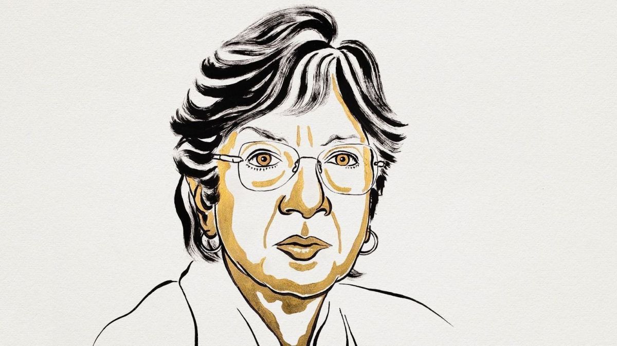 ONU celebra Nobel da Paz para Navi Pillay, defensora dos direitos humanos