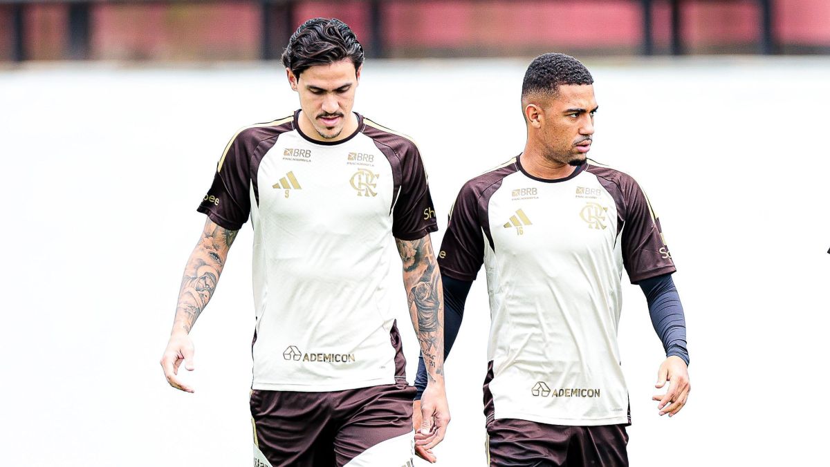 Palmeiras recebe cinco reforços em preparação para jogo contra o Bahia