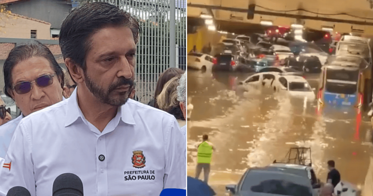 Árvore caída durante forte chuva na Brasilândia, São Paulo