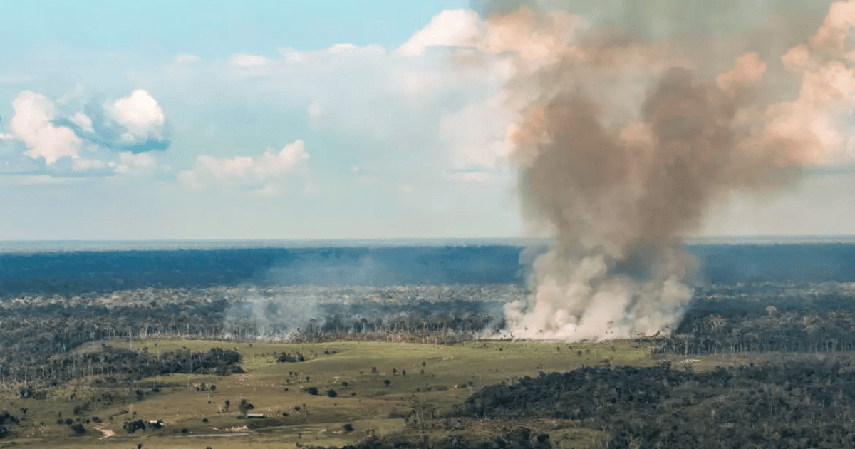 Ar em cidade do Pará tem nível “muito insalubre” após avanço de incêndios