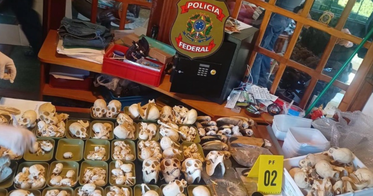 Two people arrested in international wild bird egg trafficking probe