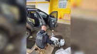 PRF prende homem com 130 ampolas de anabolizantes e emagrecedores no RS