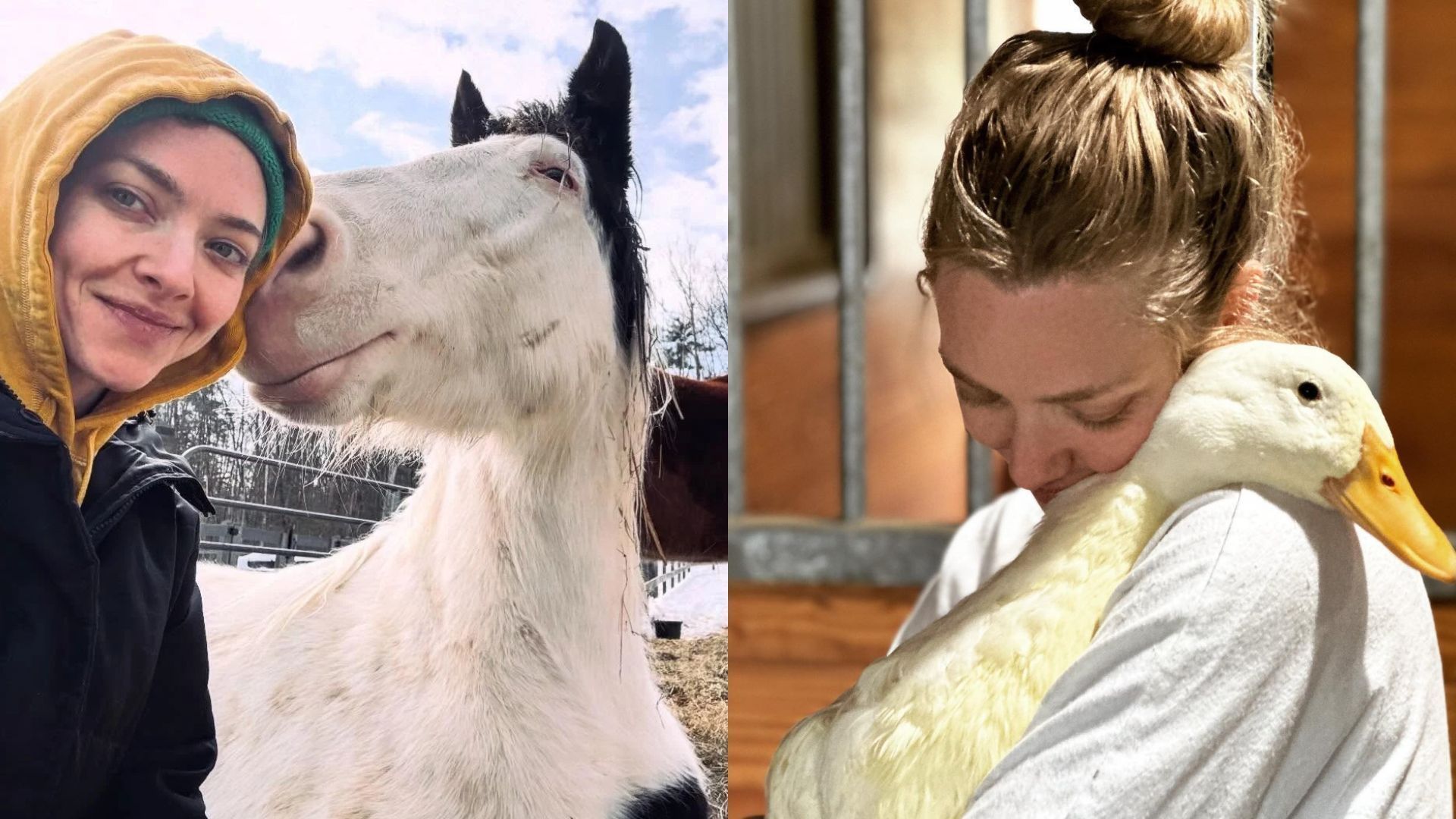 Amanda Seyfried compartilha momentos com animais em sua fazenda no interior de Nova York