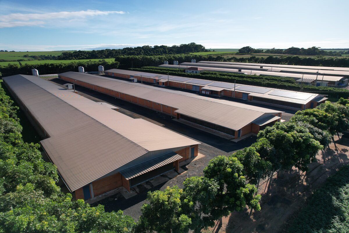 A companhia vê a avicultura como uma das principais frentes de expansão no mercado agropecuário
