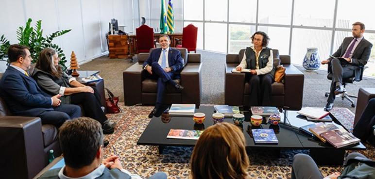 Presidente do TSE em audiência com representantes do Carter Center
