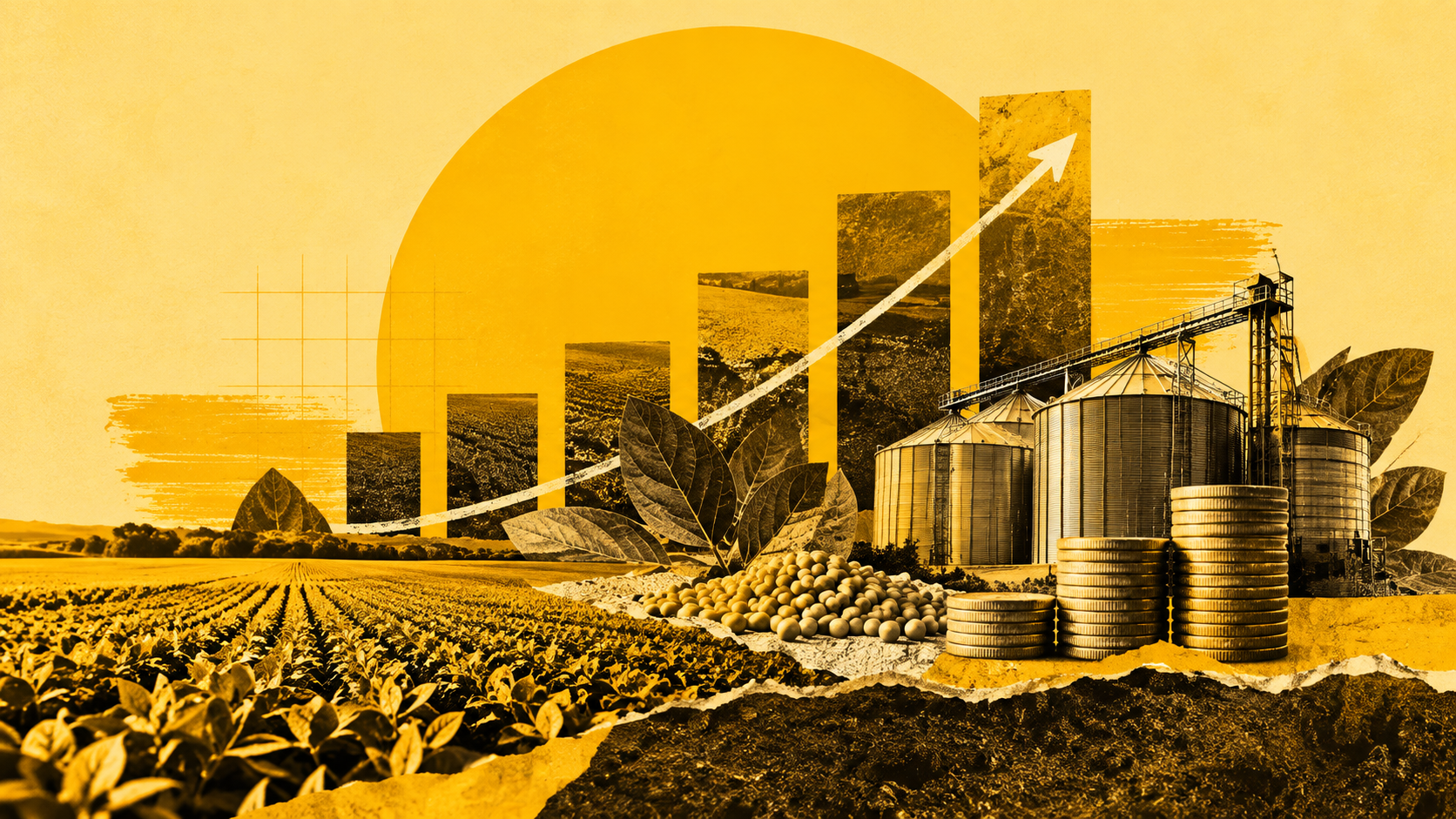 Fiagro muda de perfil cinco anos após criação e amplia crédito no agro