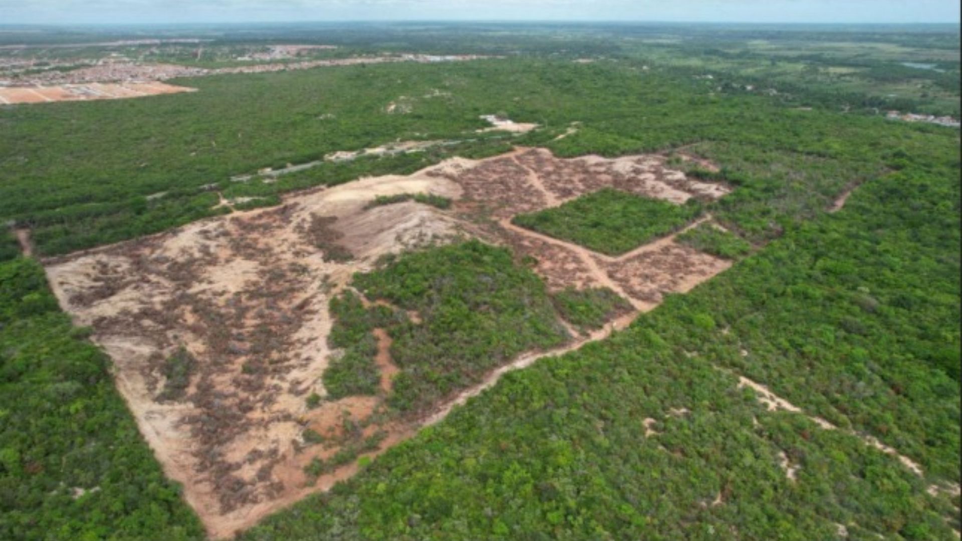 Área de Mata Atêntica desvatada para construção do empreendimento em Extremoz (RN)