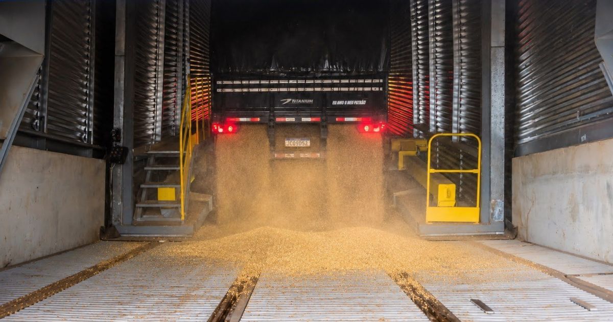 Be8 começa a receber trigo para nova indústria de glúten e etanol no RS