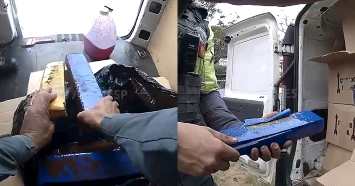 Police seize 726.2kg of cannabis and arrest two men in São Paulo