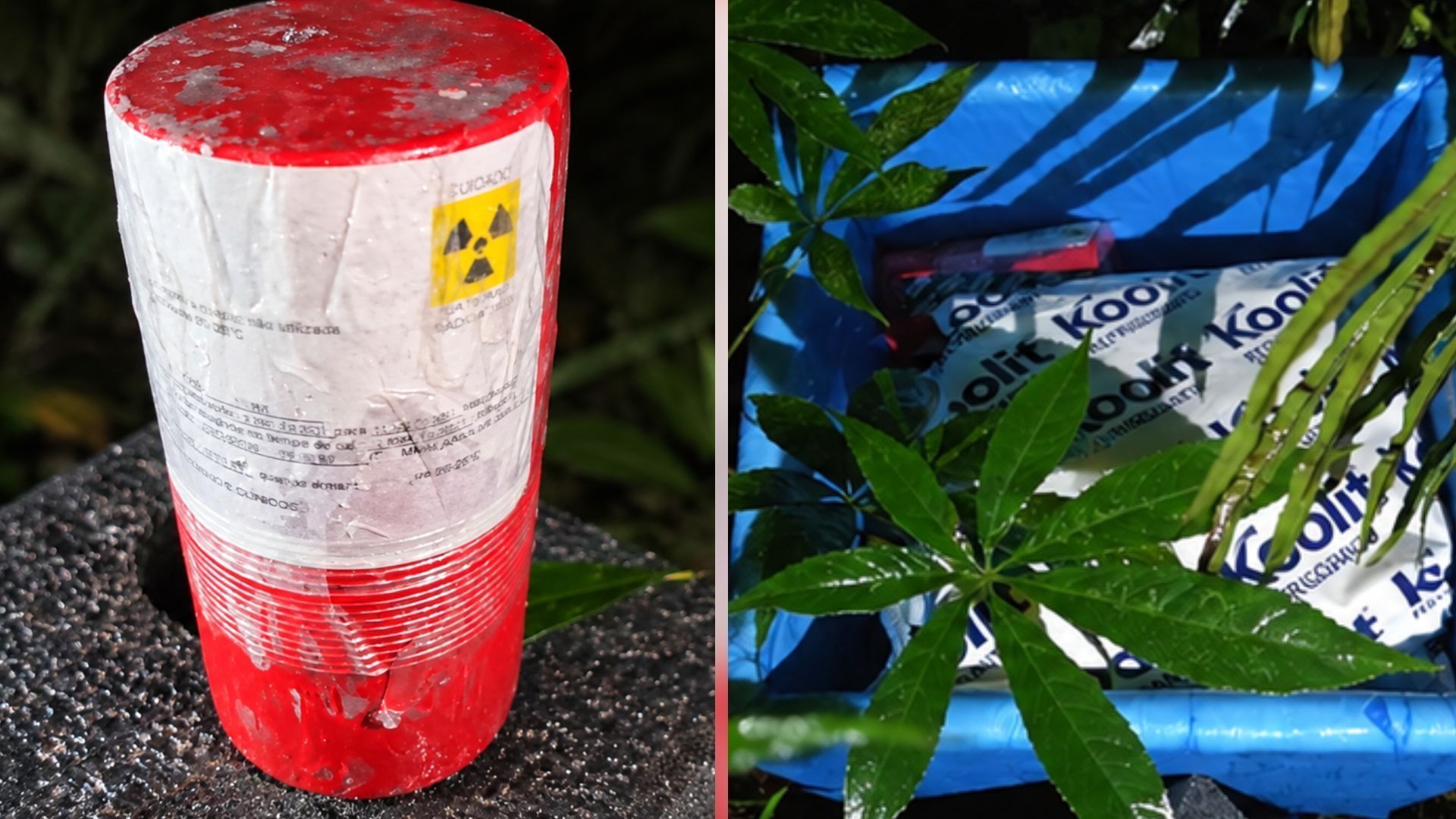 Material foi encontrado em um terreno baldio no bairro São Rafael, zona leste da capital paulista