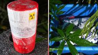 Material radioativo roubado com van é encontrado em terreno baldio de SP