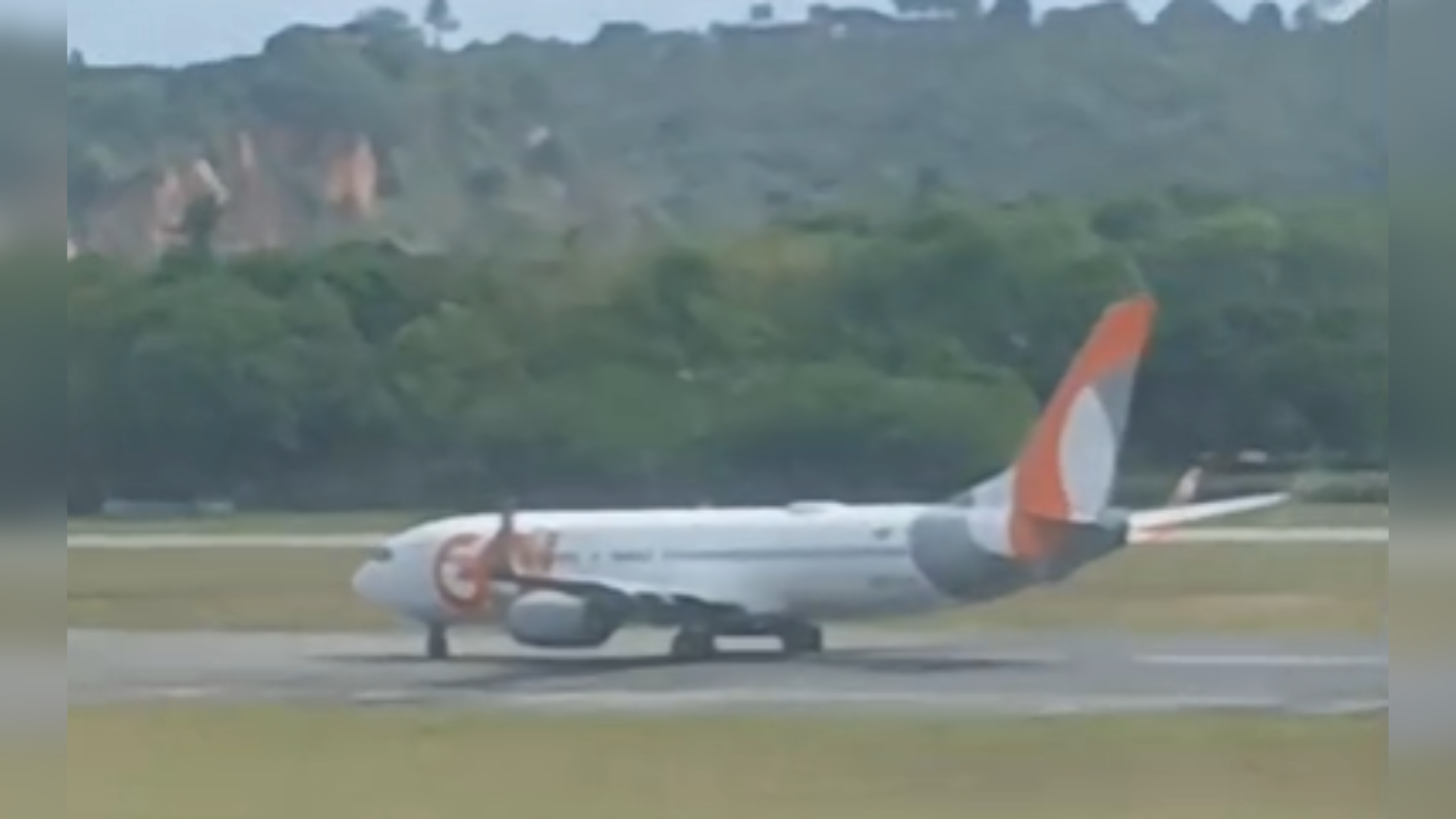 Imagem de destaque do post: O que é um "birdstrike", incidente que fez avião da Gol voltar para PE