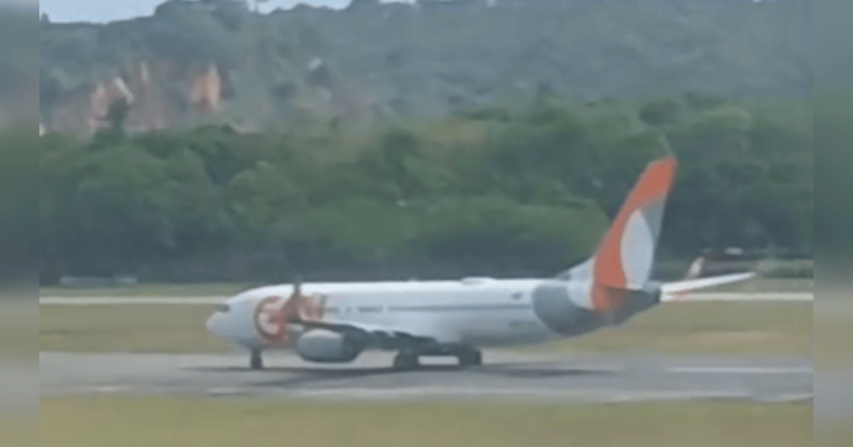O que é um “birdstrike”, incidente que fez motor de avião da Gol pegar fogo