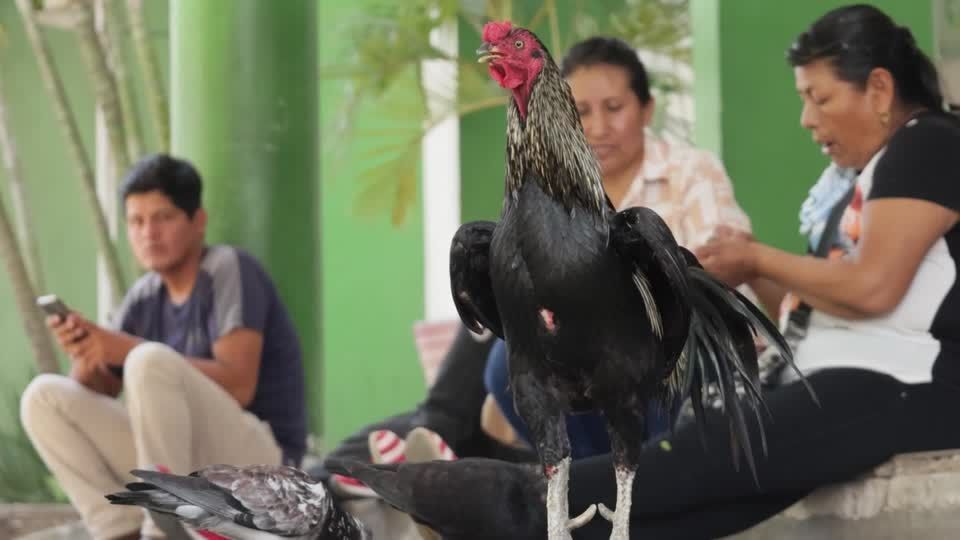 Galo Martin vigia a entrada de hospital boliviano oito anos após a morte de um paciente