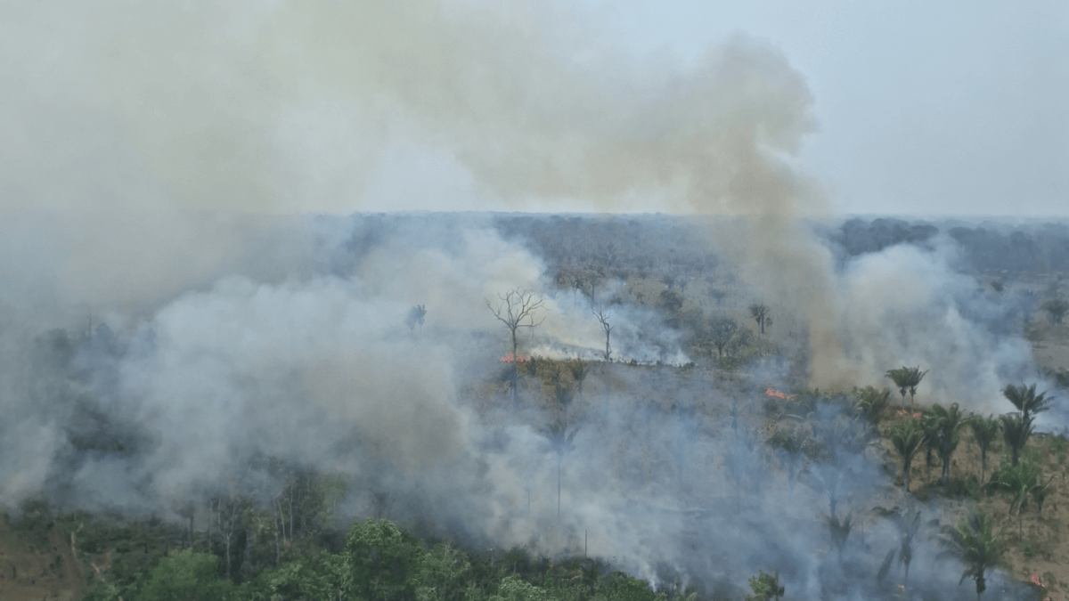 Análise: Foco de calor na Amazônia aumenta mais de 60% em um ano