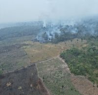 Análise: fogo expõe nova economia da conservação amazônica