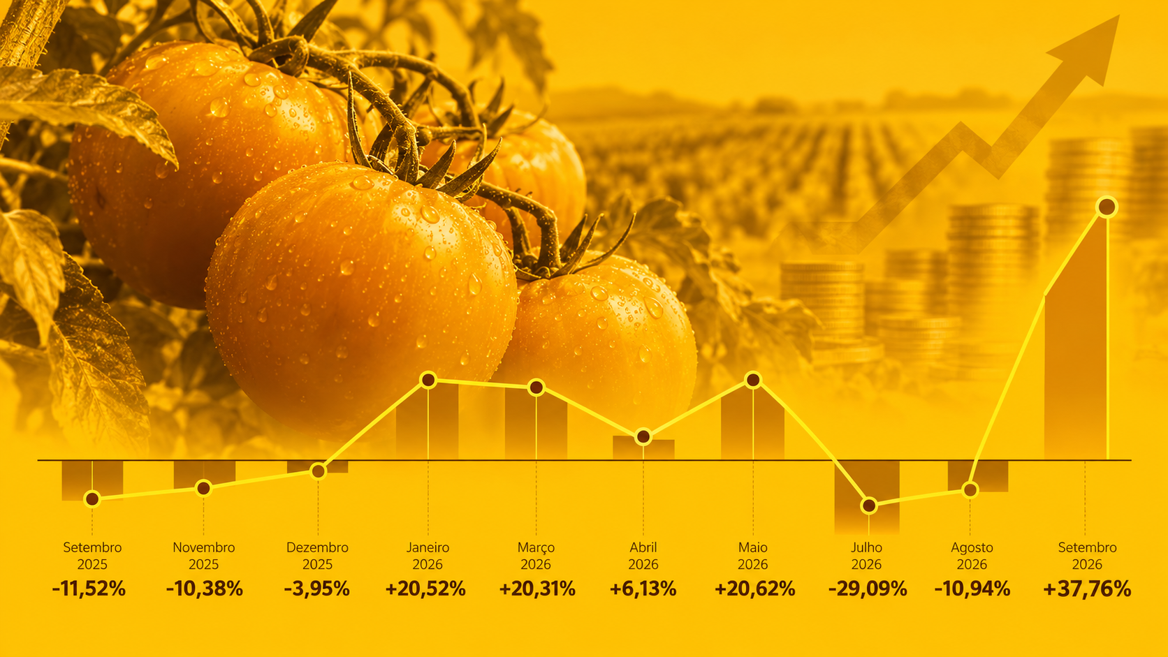Tomate desafia padrão histórico de preços e surpreende na inflação de 2026