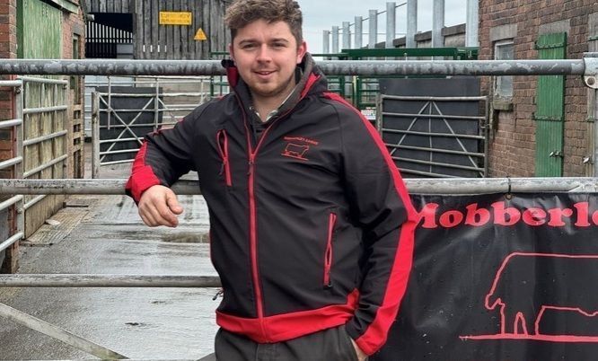 Aos 23 anos, britânico cria a própria fazenda de gado após mandar carta a produtor na infância e estudar agronegócio