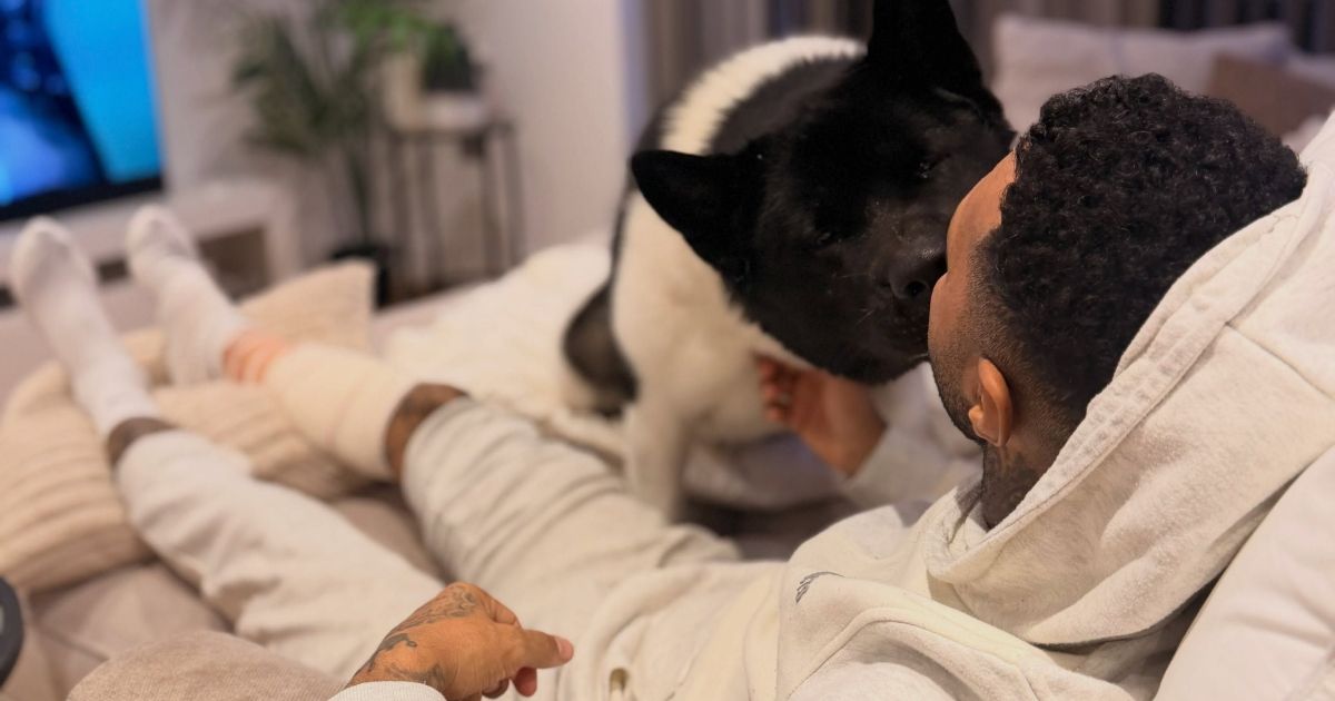 Ex-jogador de Arsenal e Liverpool é salvo pelo próprio cachorro após ataque