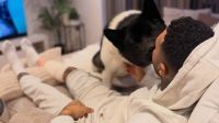 Ex-jogador de Arsenal e Liverpool é salvo pelo próprio cachorro após ataque