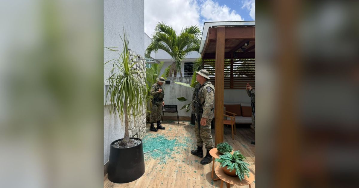 Macaco-prego invade casas, bebe álcool e remédio e fere cinco pessoas na BA