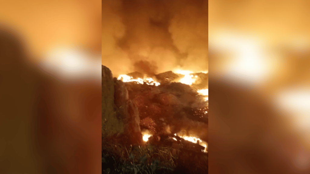 Além das duas aeronaves da FAB, outras seis foram mobilizadas: quatro aviões Air Tractor e dois helicópteros. O estado também conta com 290 brigadistas federais que já atuam no combate aos incêndios