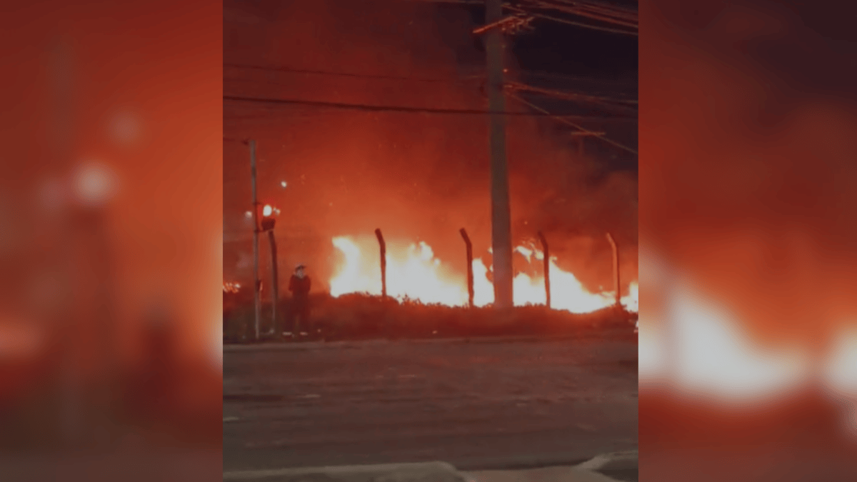 Pará tem a maior quantidade de focos de incêndio no Brasil em 2026