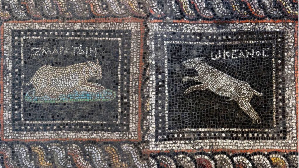 Zmaragdin e Okeanos foram os únicos animais do mosaico identificados por nomes • Crédito: Arquivo de Pesquisa Adramytteion/Hüseyin Murat Özgen