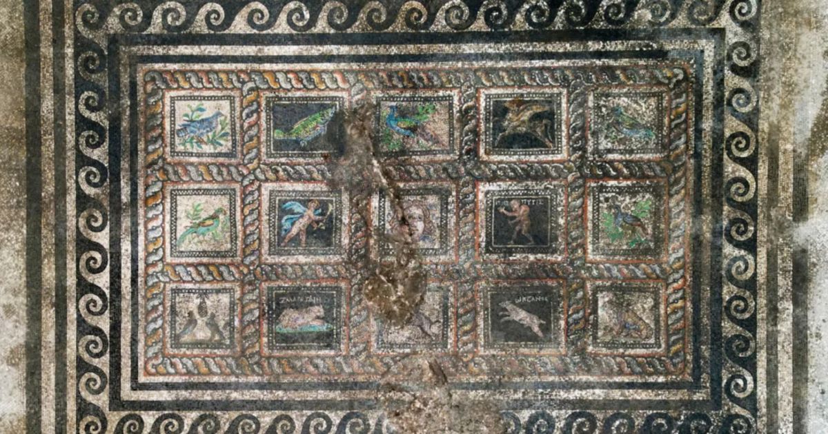 Arqueólogos encontram mosaico de 1.800 anos com 15 cenas, mas um gato e um cachorro chamam atenção por detalhe incomum