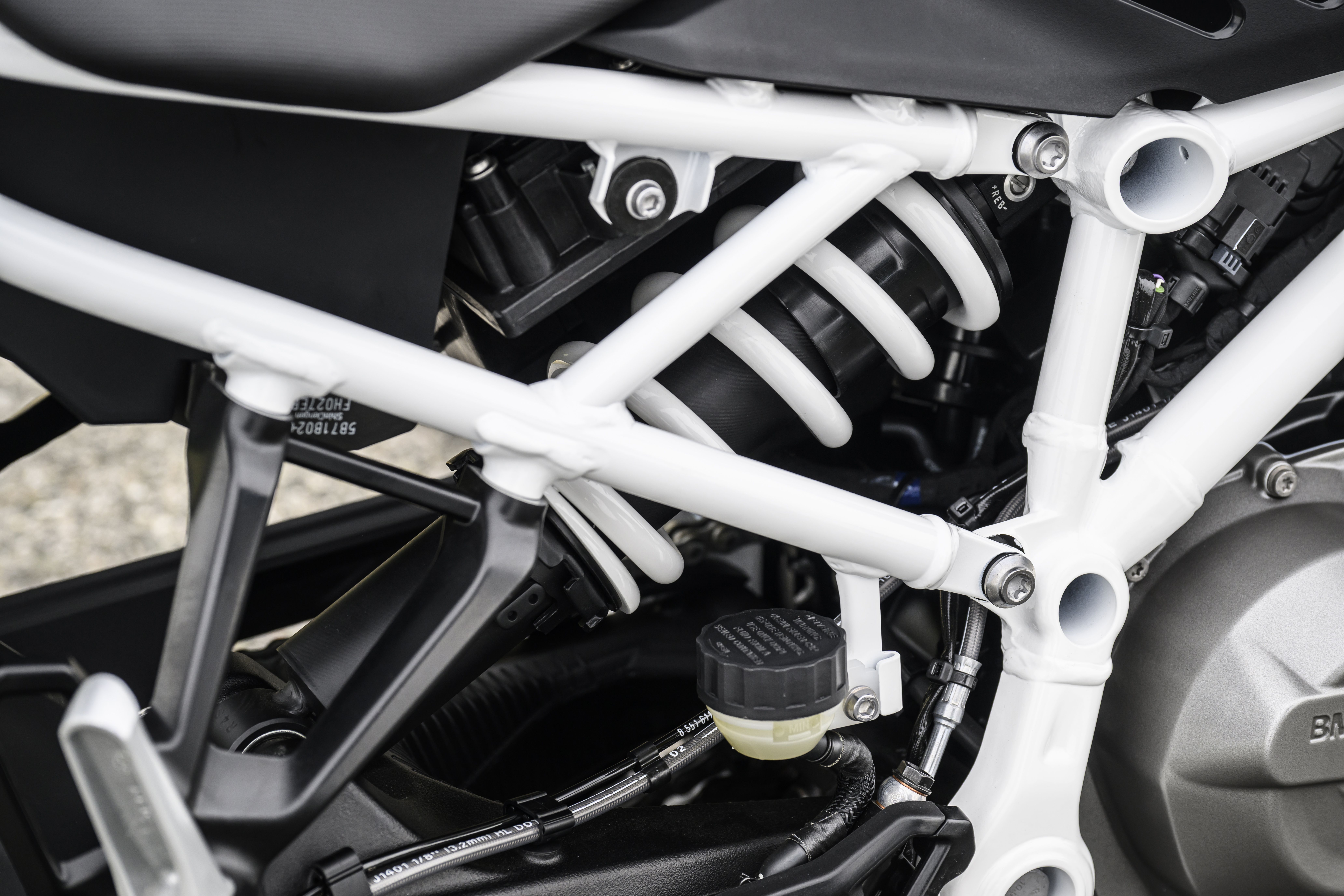 BMW F 450 R tem 48 cv, 175 kg e opção de embreagem assistida; modelo mira motociclistas da categoria A2 e tem quatro versões de acabamento • UWE FISCHER/BMW