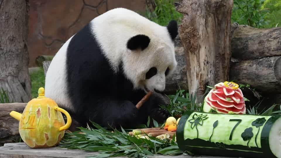 China acha material inesperado na Lua - e há mais de 2 anos tenta decifrar como foi parar lá