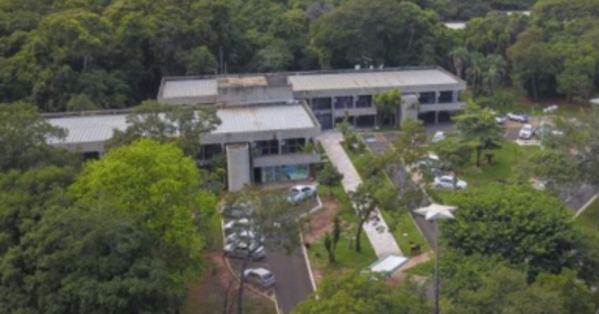 Eleições 2026: candidatos ao governo do MS votam neste domingo (4)