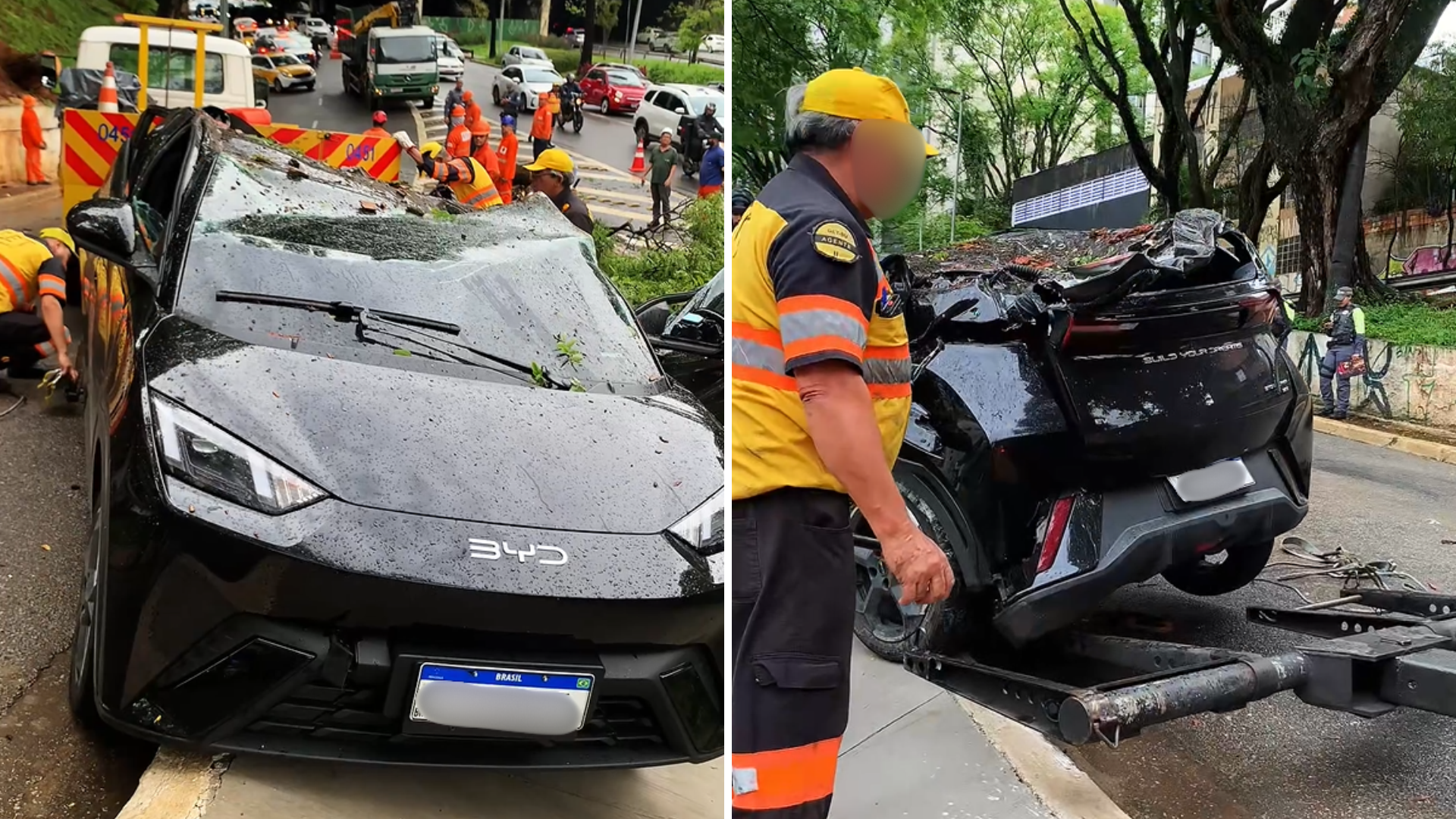 Carro ficou amassado com a queda da árvore