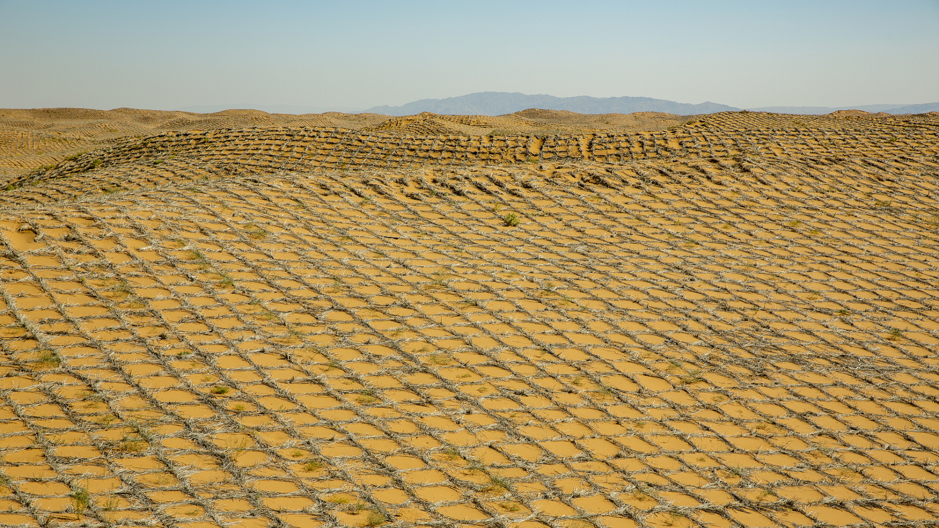 Mais de 20 mil hectares de deserto já estão cobertos por tabuleiros de palha na China • Reprodução/CGTN