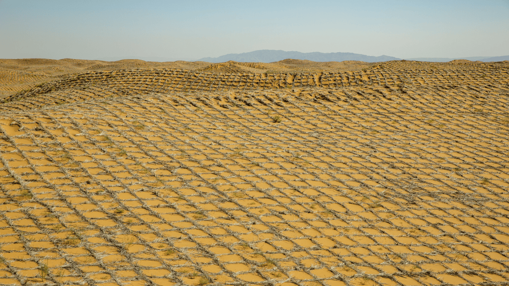 Tabuleiros de palha no deserto com manchas verdes crescendo