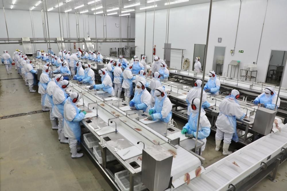 processamento e indústria de pescado