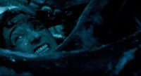 “Dentro da Baleia”: novo terror é baseado em história real?