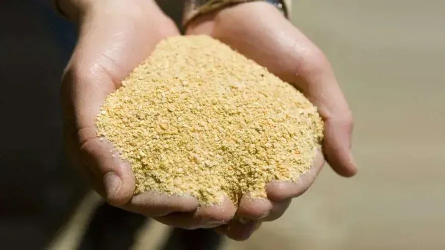 O Brasil pode perder mercado de farelo de soja para Argentina em função das exigências europeias