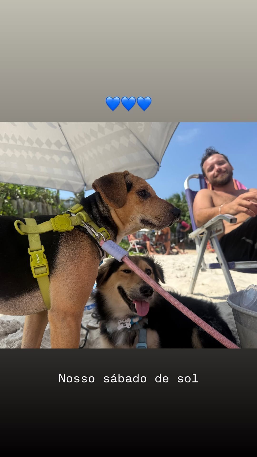 Giulia Costa aproveita dia de praia com o namorado e os cachorros • Instagram/Giulia Costa