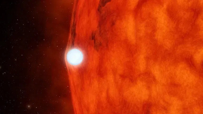 Representação artística de uma anã branca passando em frente a uma pequena estrela vermelha. • NASA/JPL-Caltech