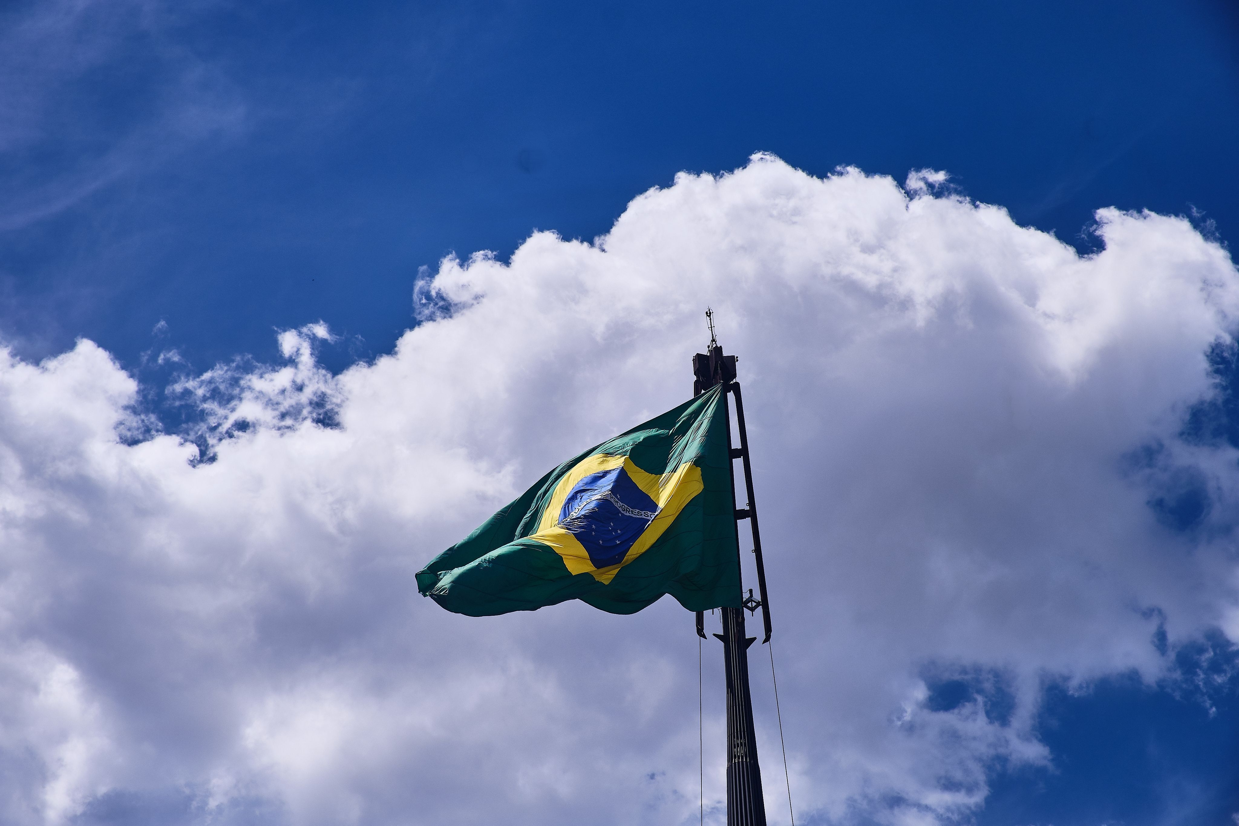 Fique por dentro: Por que marcas de limpeza viram preferência nacional