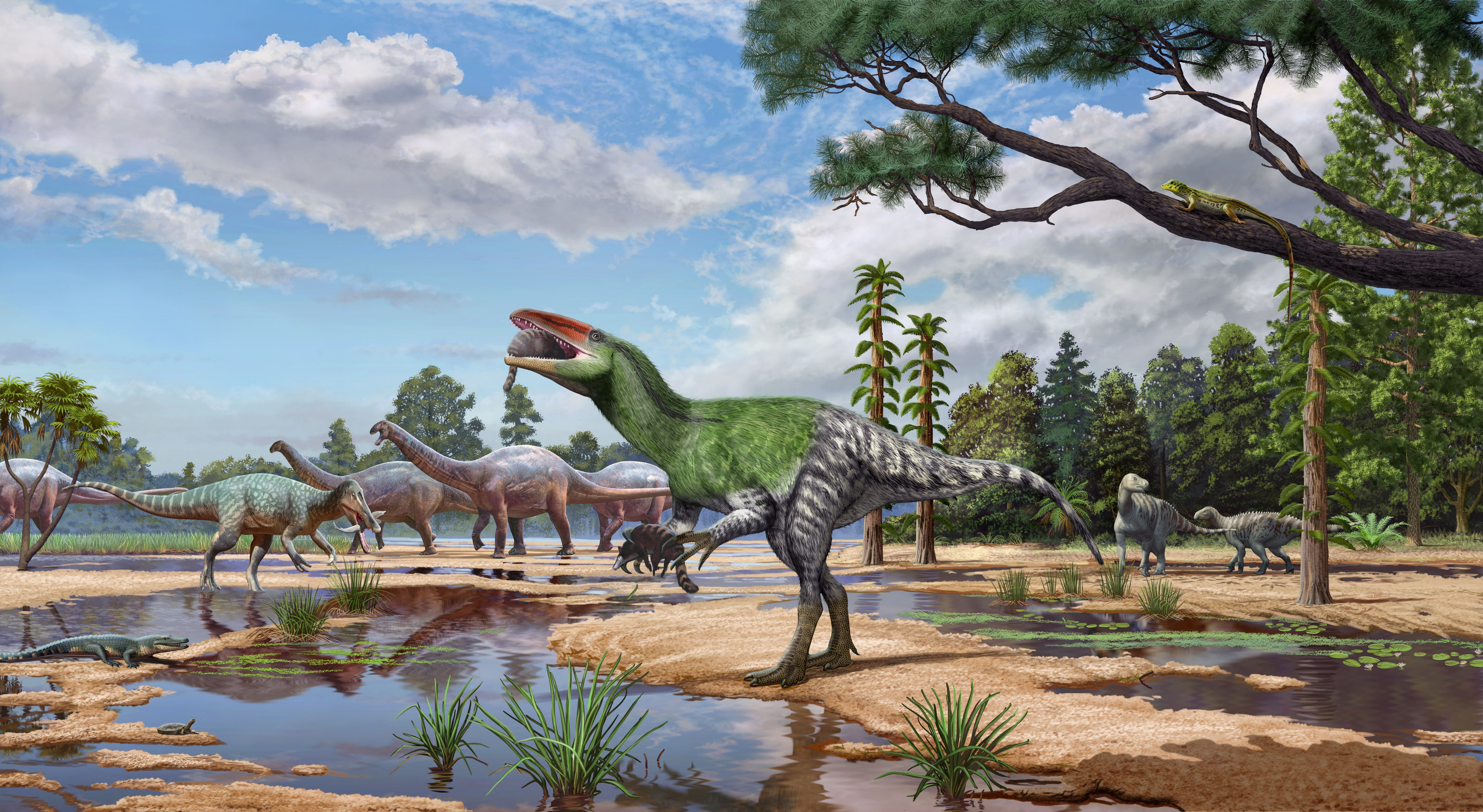 O dinossauro carnívoro Invictibellatrix amberina se alimentando