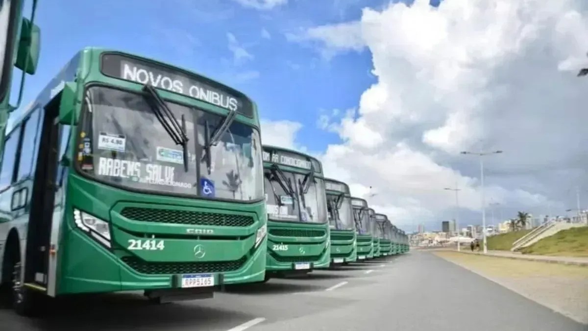 Pt Vai A Justica Em Diversas Capitais E Questiona Frota De Onibus