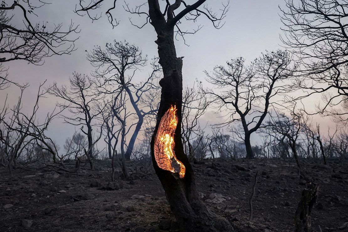 Tempestades de calor intensificam incêndios florestais. Aqui, uma árvore queima em Mandra, Grécia, em julho de 2023, quando tempestades de calor atingiram a região durante a maior parte daquele mês. • REUTERS/Louiza Vradi