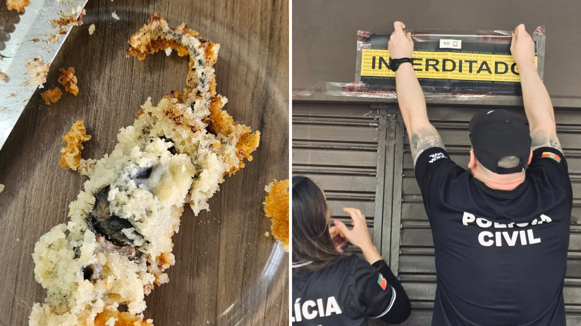 Consumidor relatou ter encontrado um rato morto dentro de um bolo