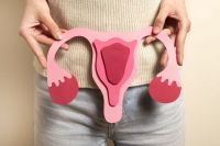 Cirurgia inédita reconstrói clitóris após câncer de vulva; entenda