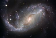 Dia dos Namorados: entenda como aplicar a Lei da Atração na astrologia