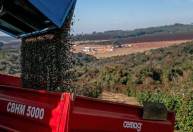 Exportação de café do Brasil tem queda de 27,9% em agosto ante 2020, diz Cecafé